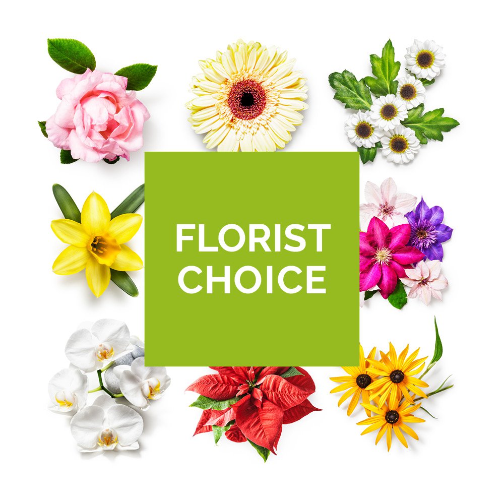 Florist Choice Flowers - Same Day Flower Delivery in Birmingham by Buttercups & Daisies
