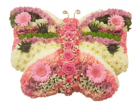 Butterfly - Same Day Flower Delivery in Birmingham by Buttercups & Daisies