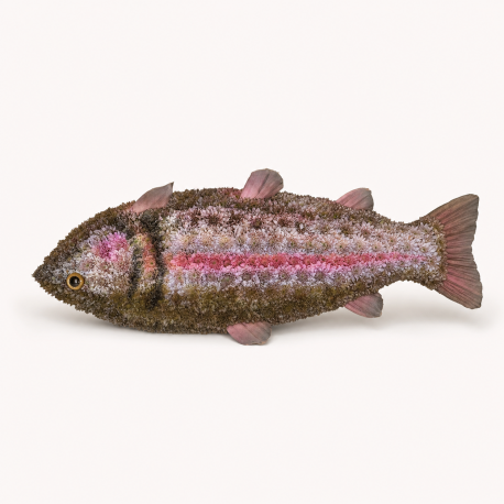Bespoke Fishing Tribute - Same Day Flower Delivery in Birmingham by Buttercups & Daisies