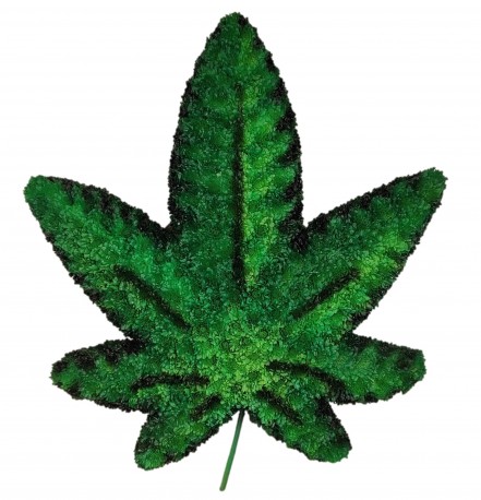 Cannabis Leaf funeral tribute - Same Day Flower Delivery in Birmingham by Buttercups & Daisies