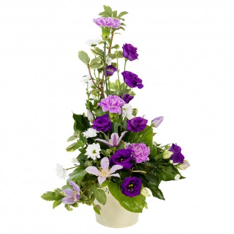 Classical Touch - Same Day Flower Delivery in Birmingham by Buttercups & Daisies