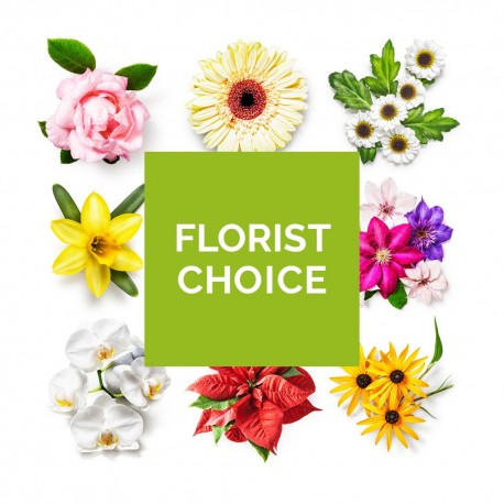 Florist Choice Flowers - Same Day Flower Delivery in Birmingham by Buttercups & Daisies