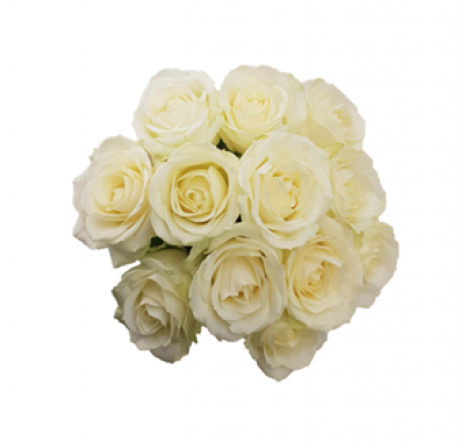 Compact Rose Bride Posy - Same Day Flower Delivery in Birmingham by Buttercups & Daisies