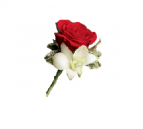 Rose & Orchid Buttonhole - Same Day Flower Delivery in Birmingham by Buttercups & Daisies
