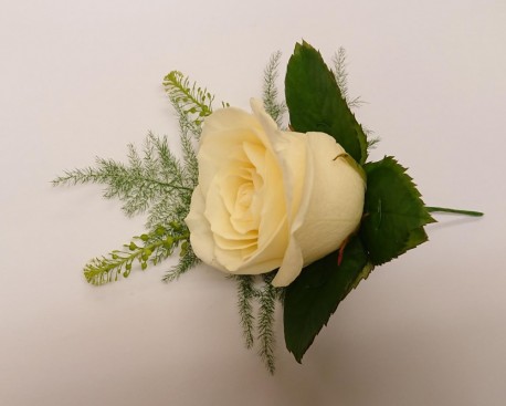 White Avalanche Rose Buttonhole - Same Day Flower Delivery in Birmingham by Buttercups & Daisies