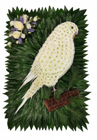 Budgie Funeral Tribute - Same Day Flower Delivery in Birmingham by Buttercups & Daisies