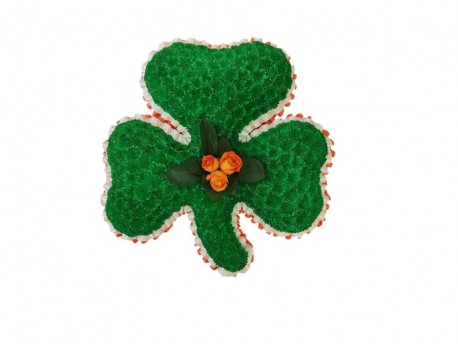 Irish Shamrock - Same Day Flower Delivery in Birmingham by Buttercups & Daisies