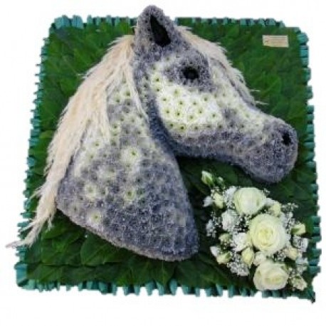 Horses Head - Same Day Flower Delivery in Birmingham by Buttercups & Daisies