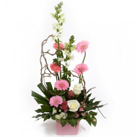 Its a Girl - Same Day Flower Delivery in Birmingham by Buttercups & Daisies