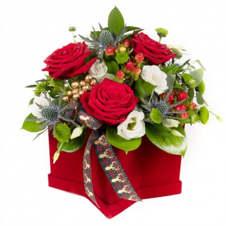 Merry Kiss-mas - Same Day Flower Delivery in Birmingham by Buttercups & Daisies