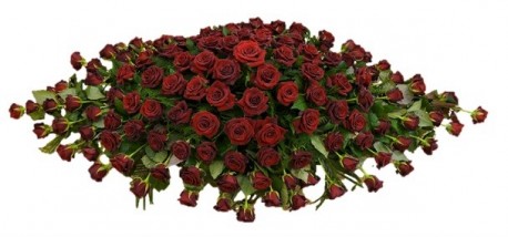 Coffin Spray (Red Roses) - Same Day Flower Delivery in Birmingham by Buttercups & Daisies